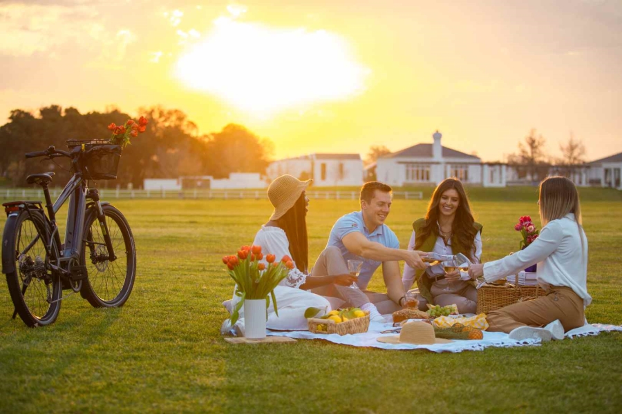 3 Bedroom Property for Sale in Val De Vie Estate Western Cape